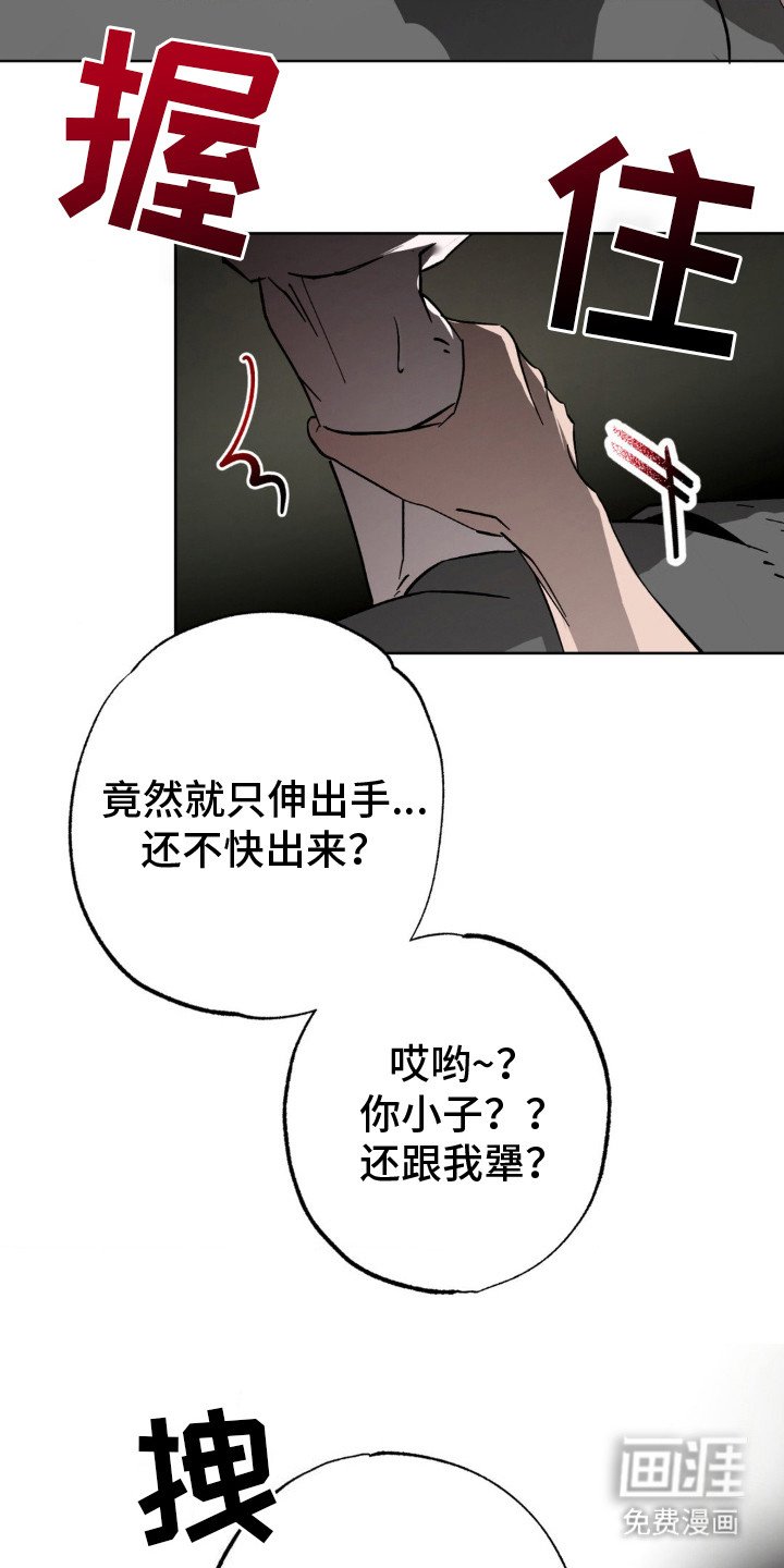 第20章：没看清