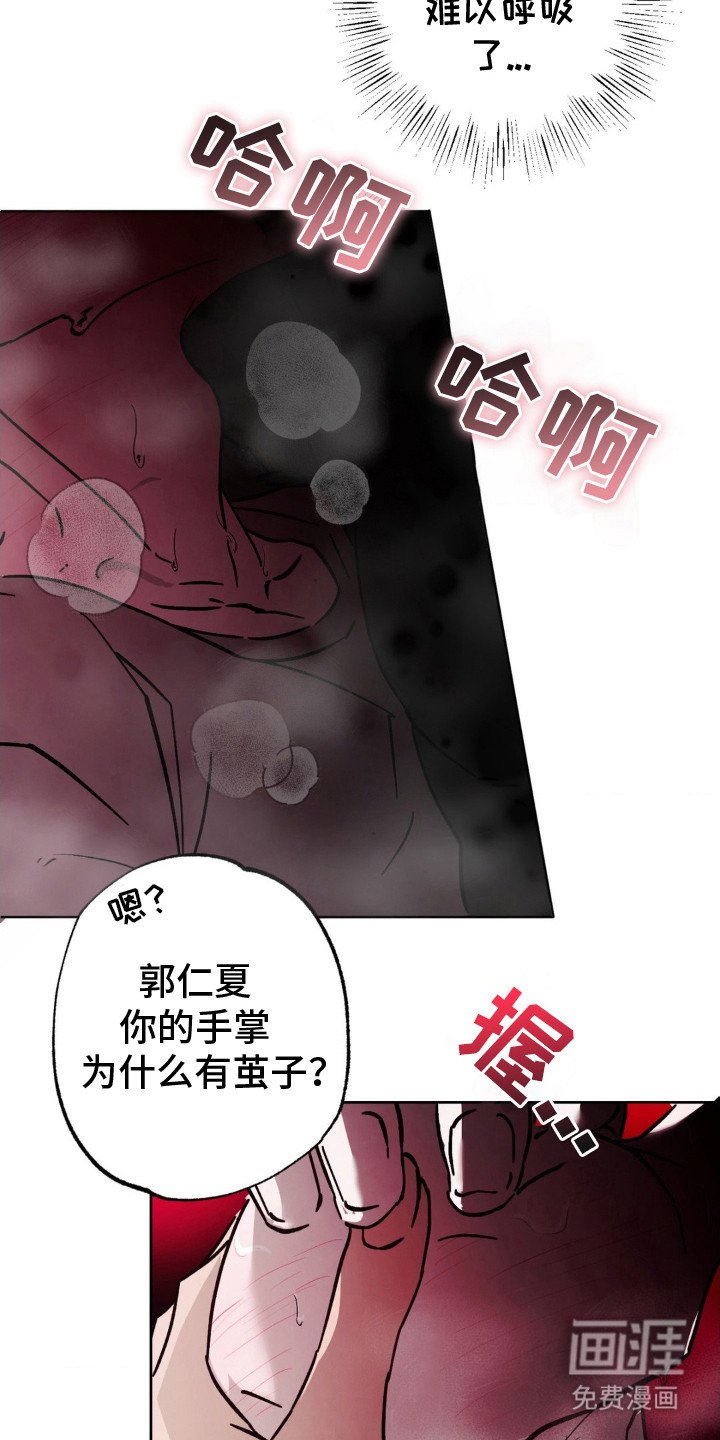 第20章：没看清
