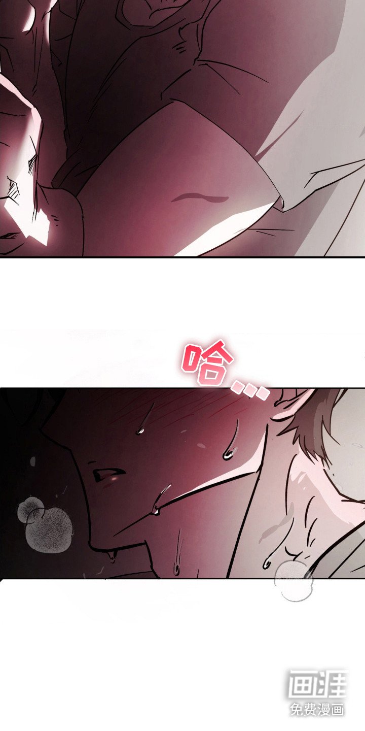 第20章：没看清