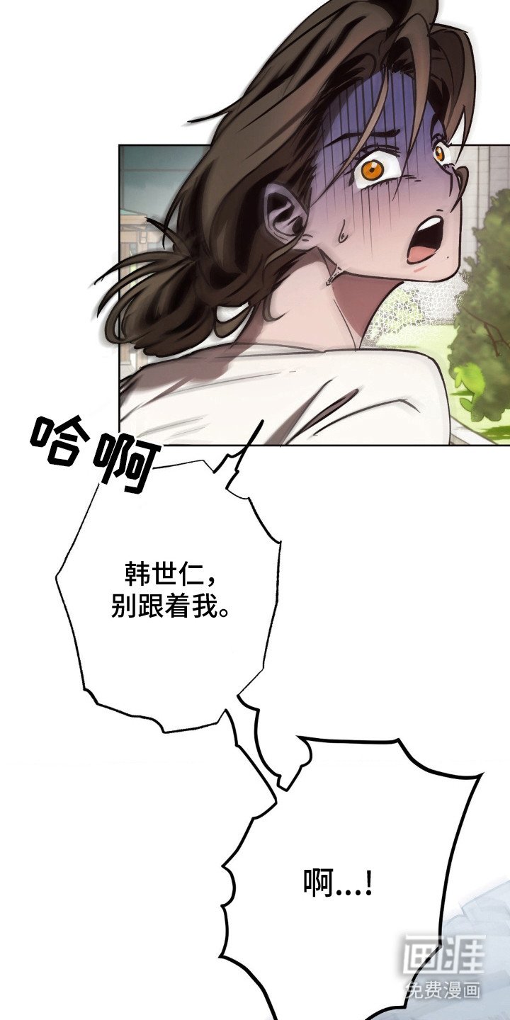 第25章：一追一逃
