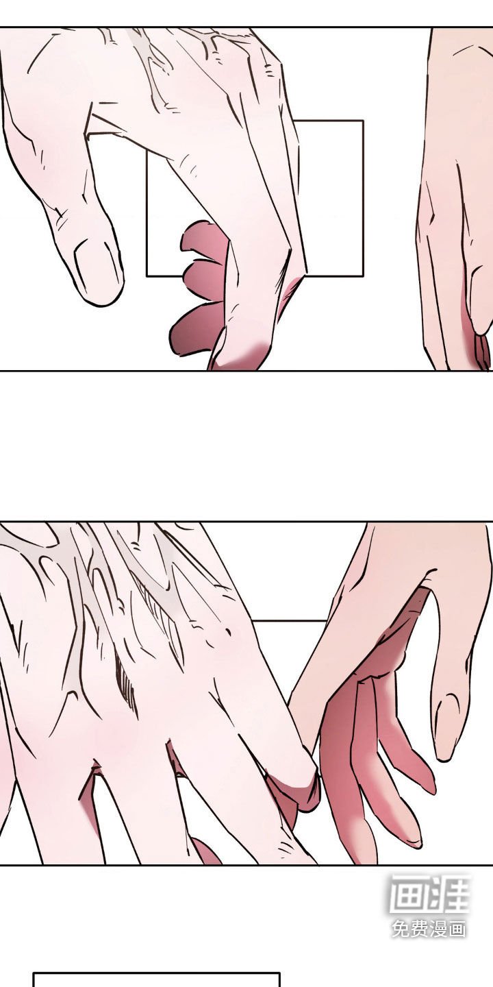 第33章：好奇她的一切