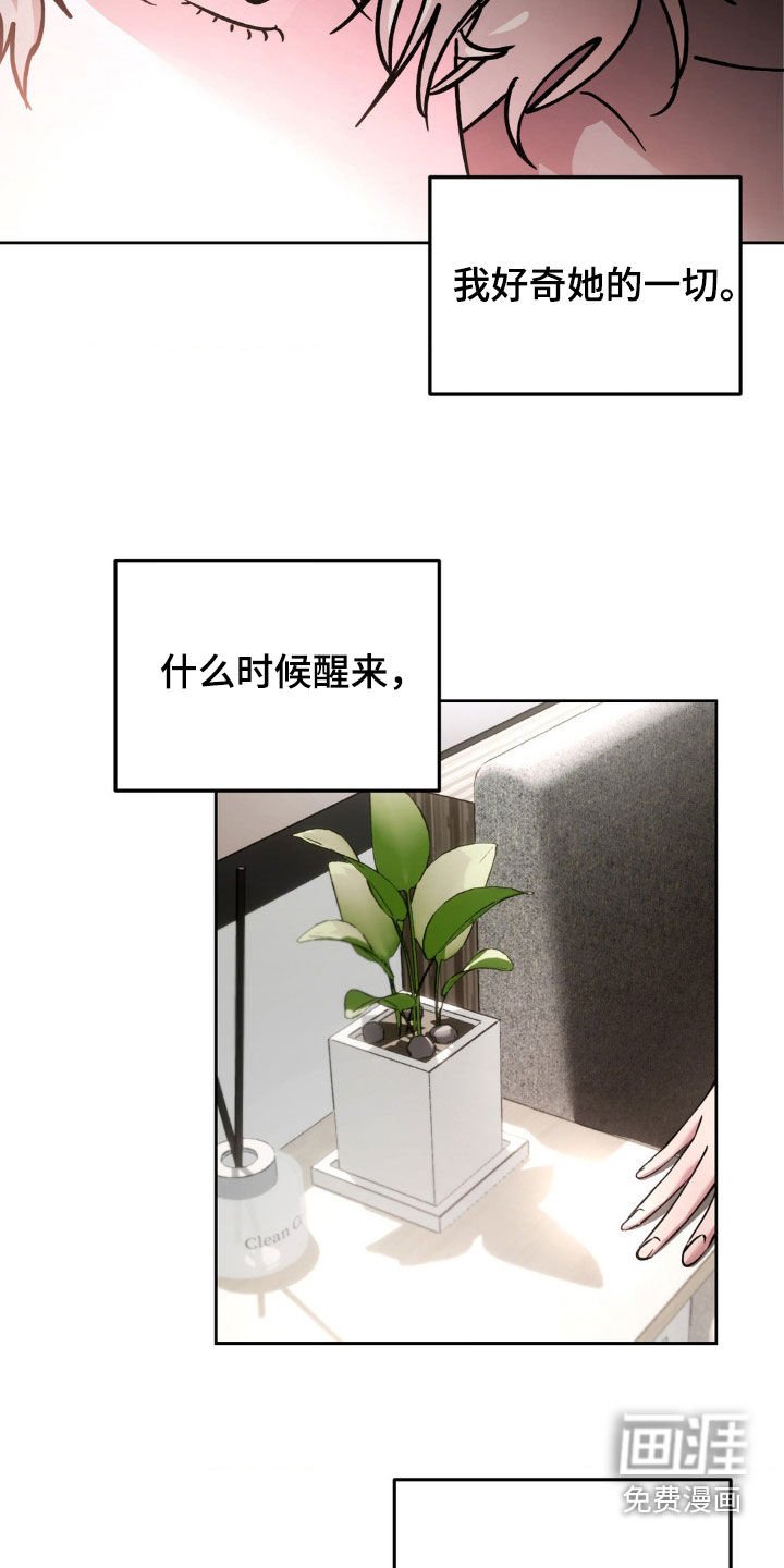 第33章：好奇她的一切