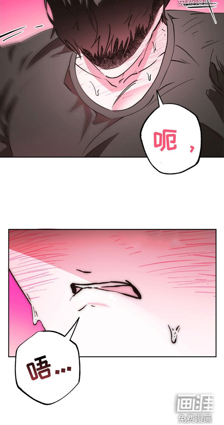 第37章：姐姐是天使