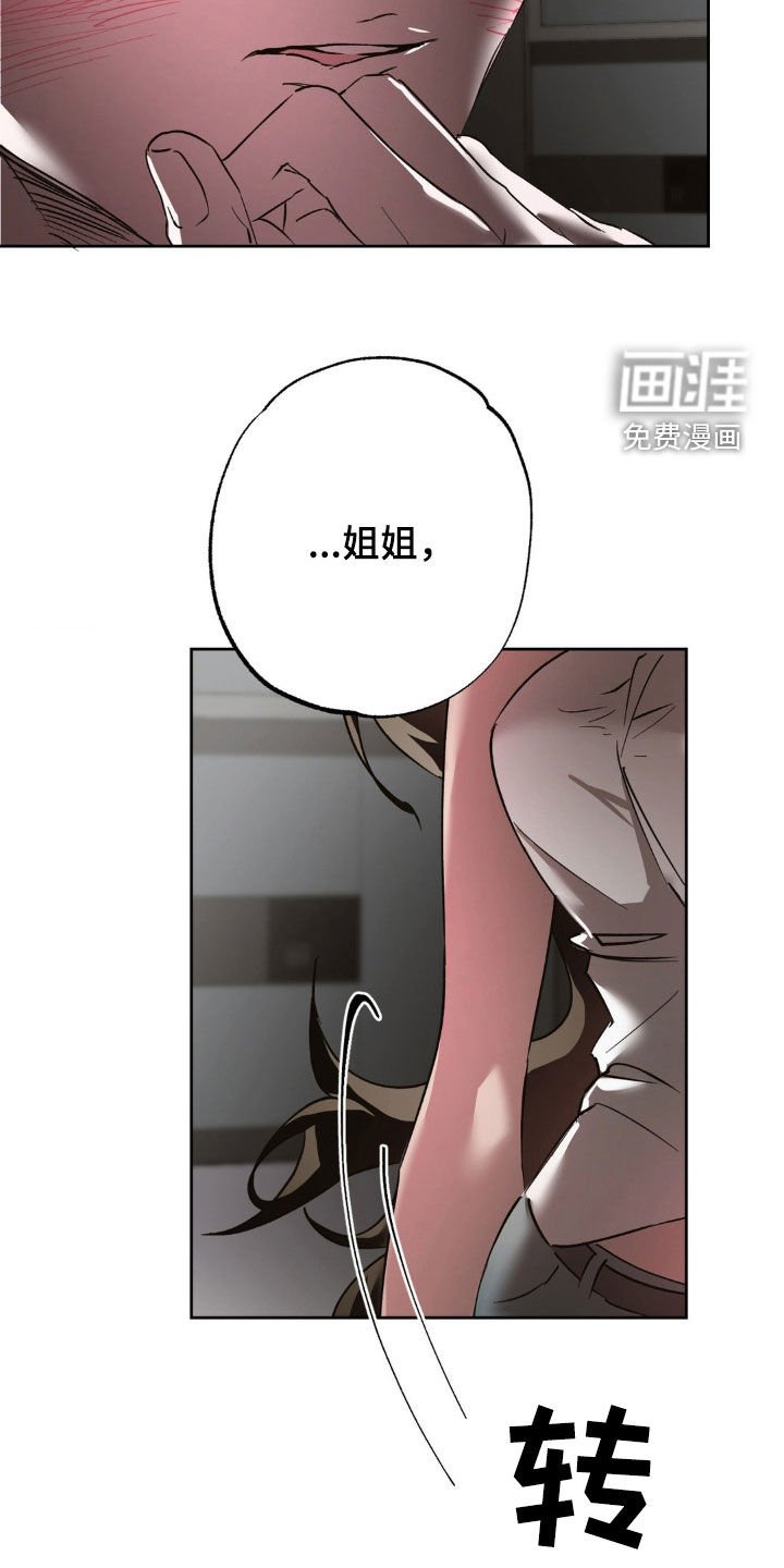 第52章：重新交往
