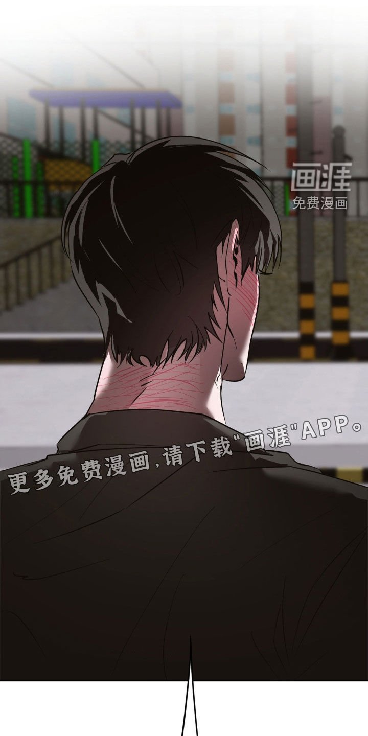 第52章：重新交往