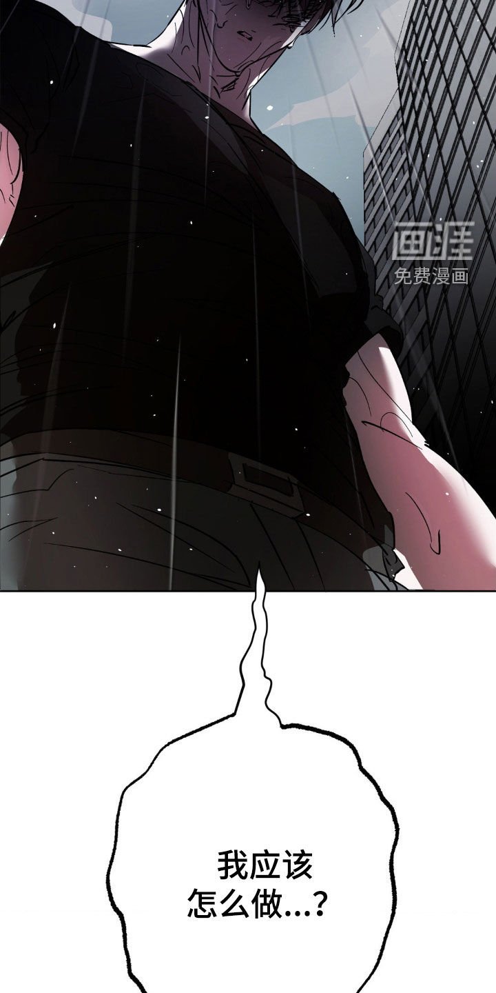第52章：重新交往