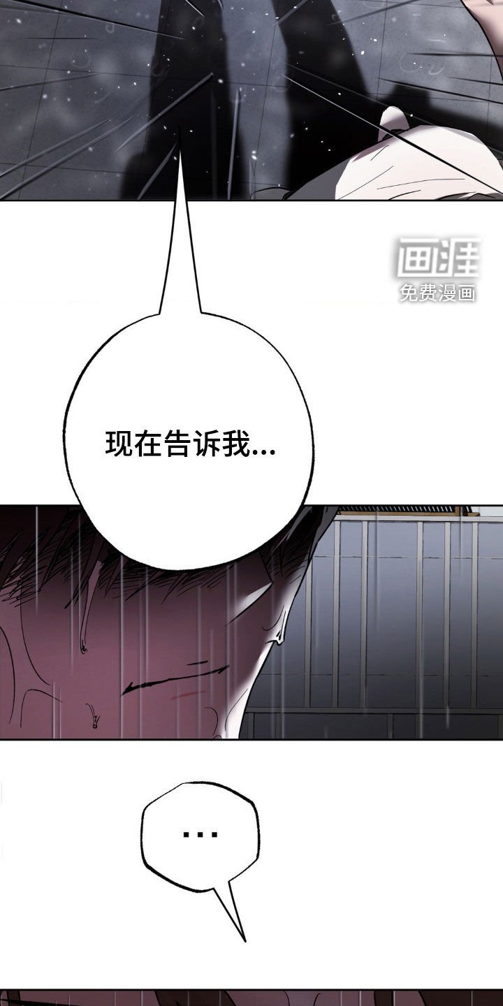 第52章：重新交往