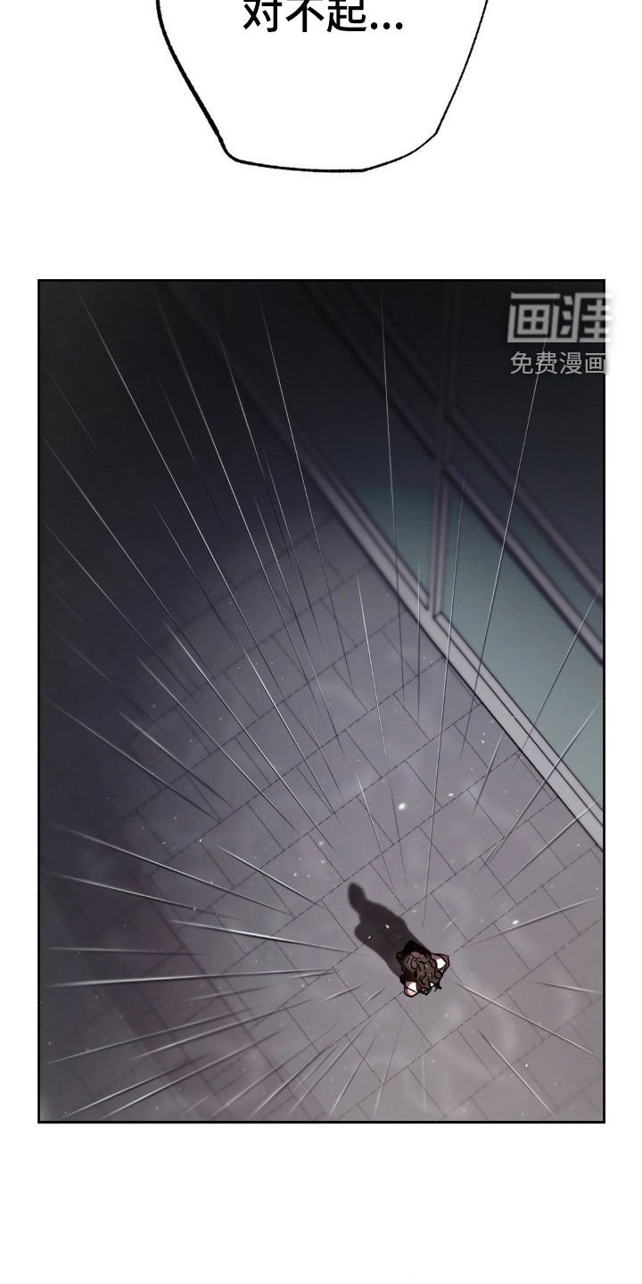 第52章：重新交往