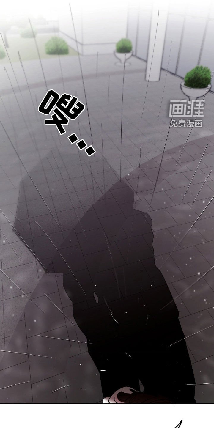 第52章：重新交往