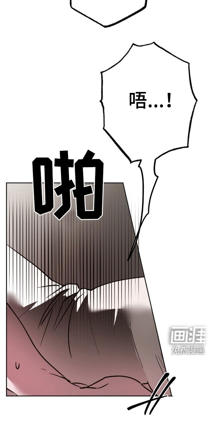 第52章：重新交往
