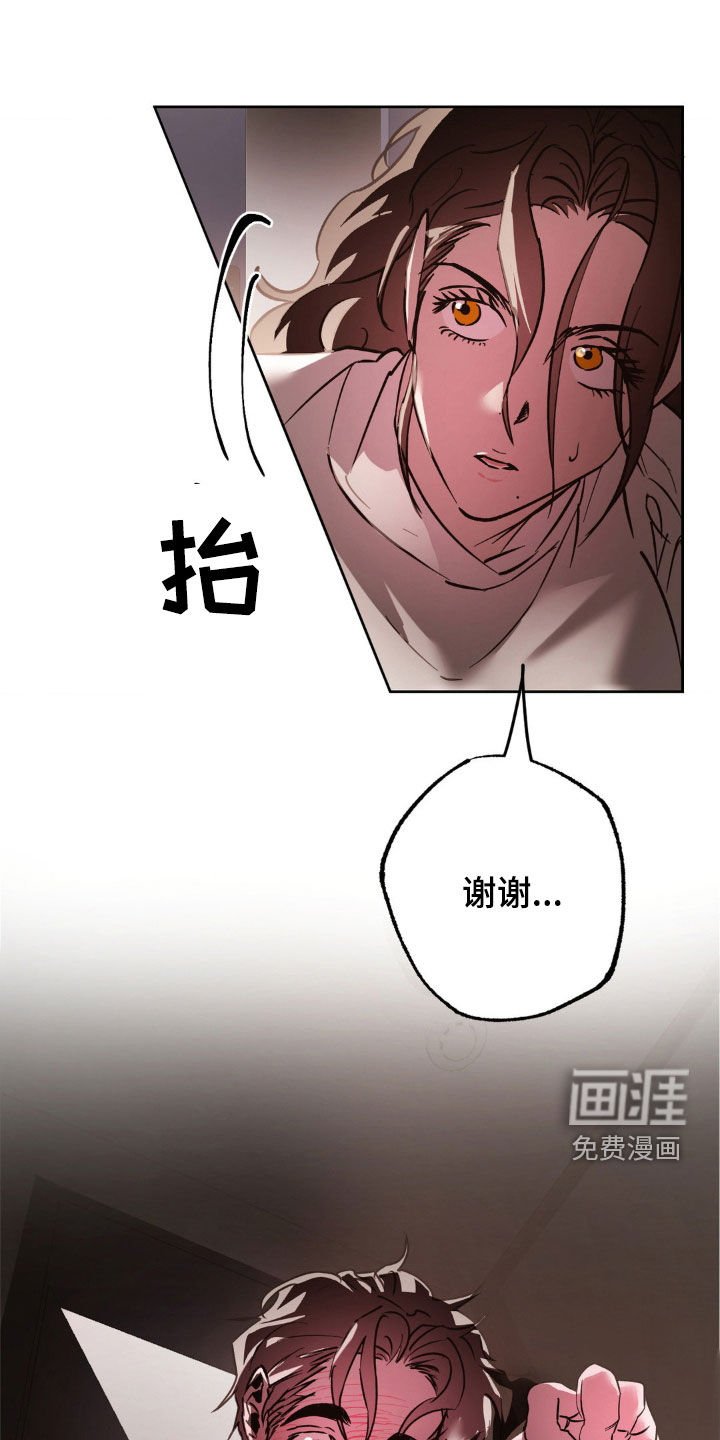 第52章：重新交往