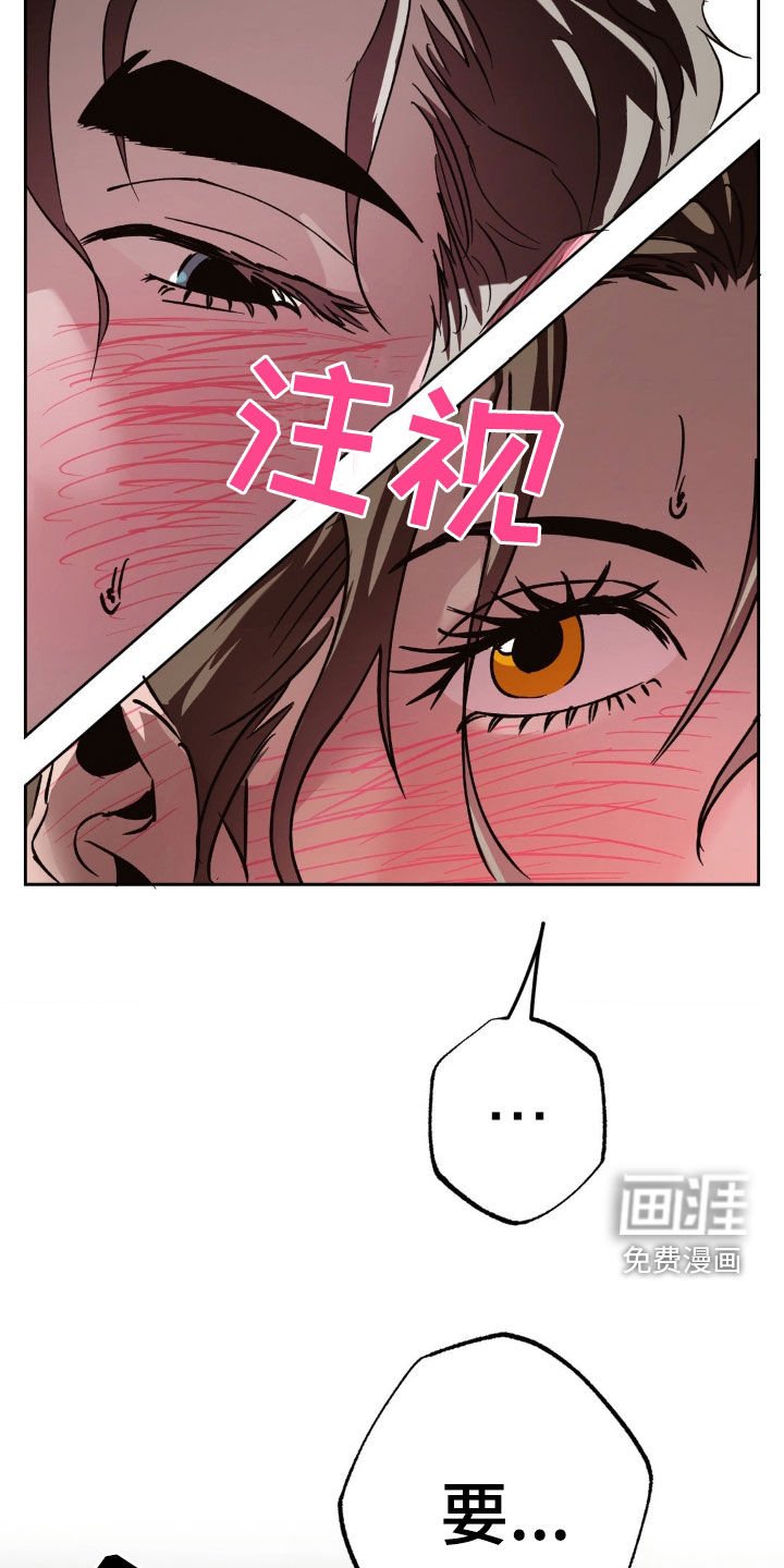 第52章：重新交往