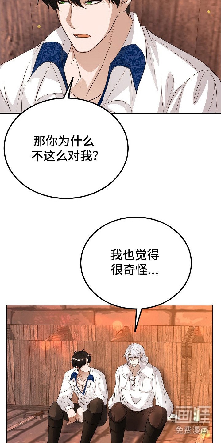 第19章：很美