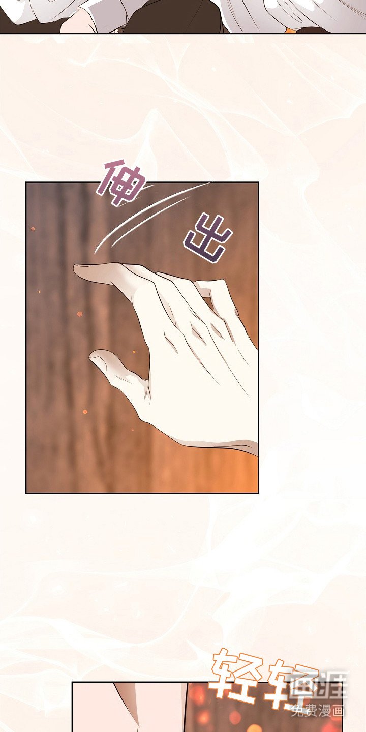 第19章：很美