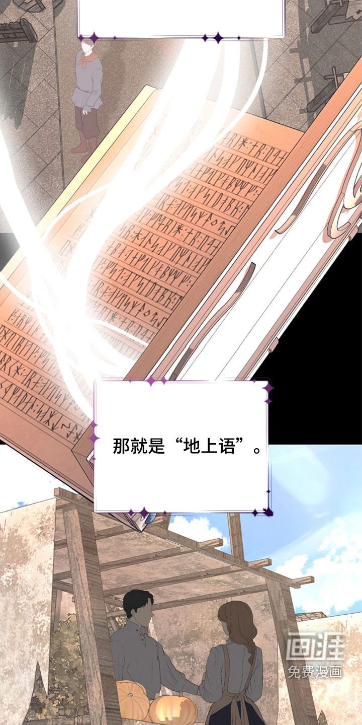 第31章：我不理解