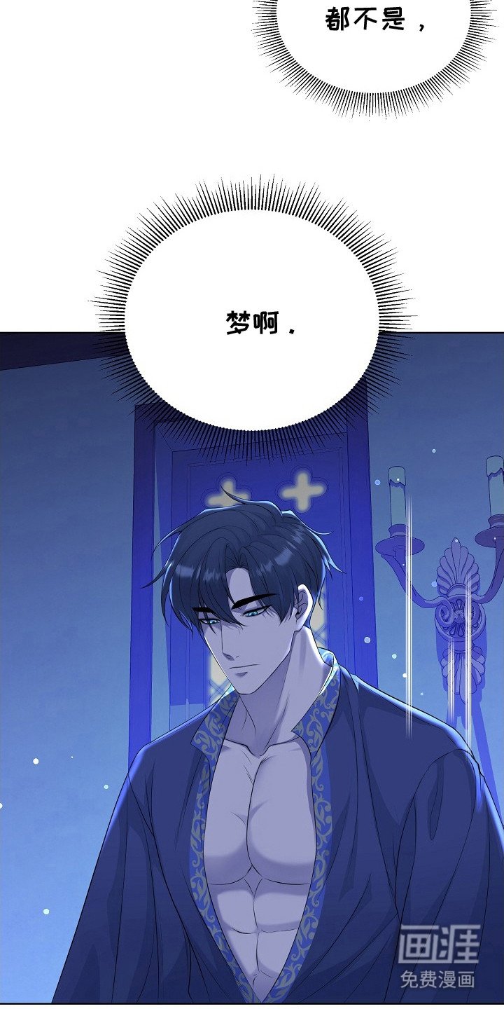 第4章：不是梦
