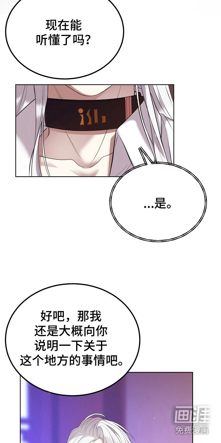 第4章：不是梦
