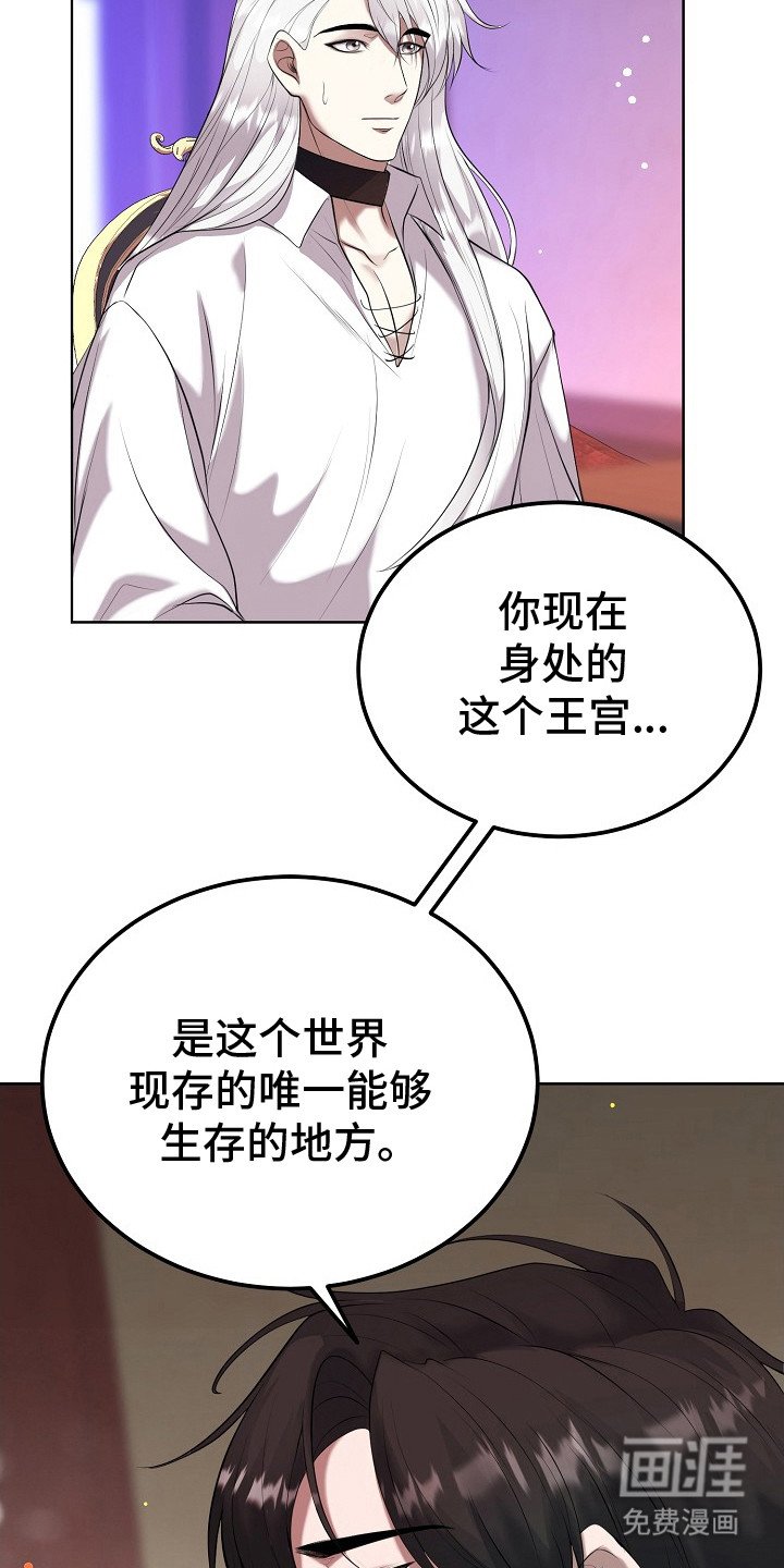 第4章：不是梦