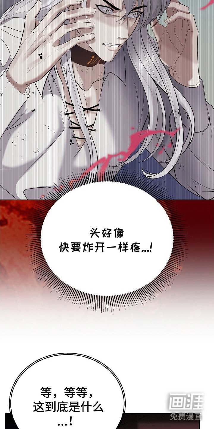 第5章：神圣之语