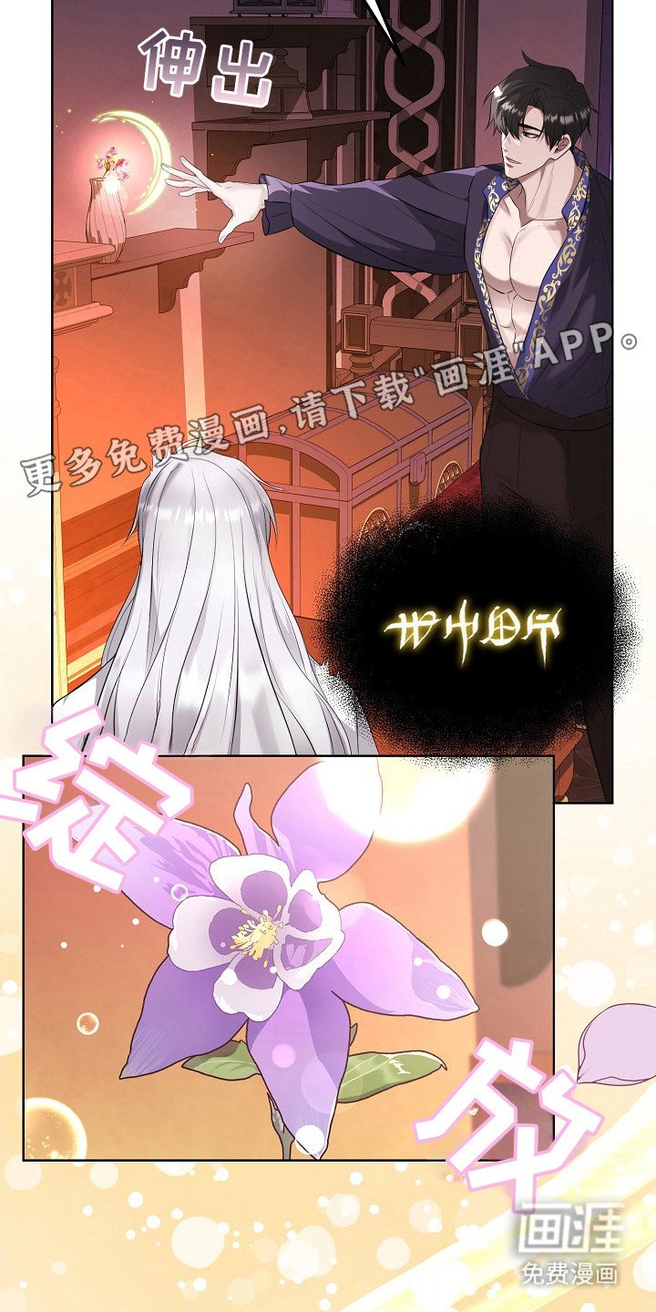 第5章：神圣之语