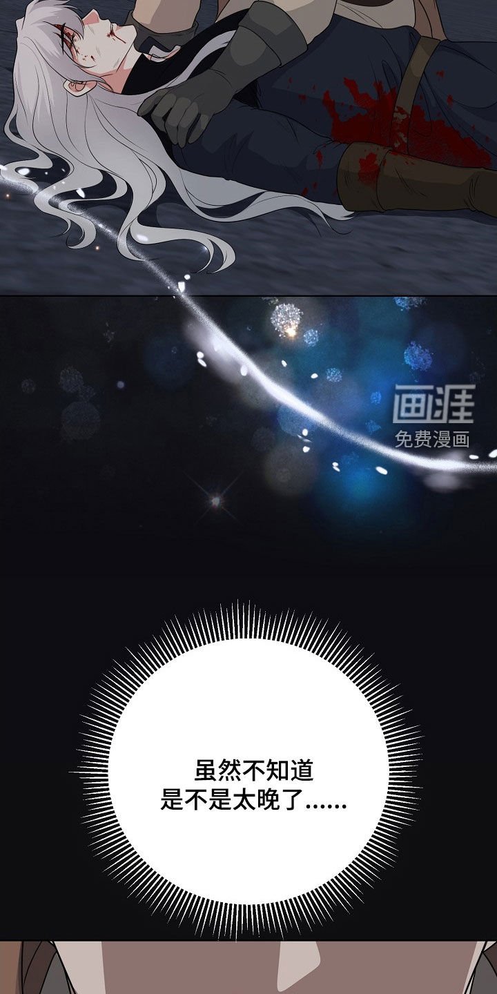 第54章：气运