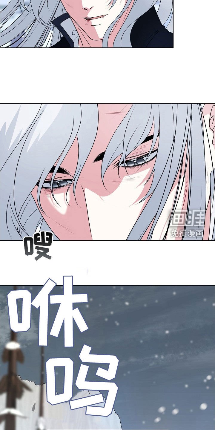 第54章：气运