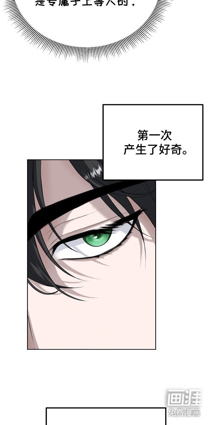 第9章：理论