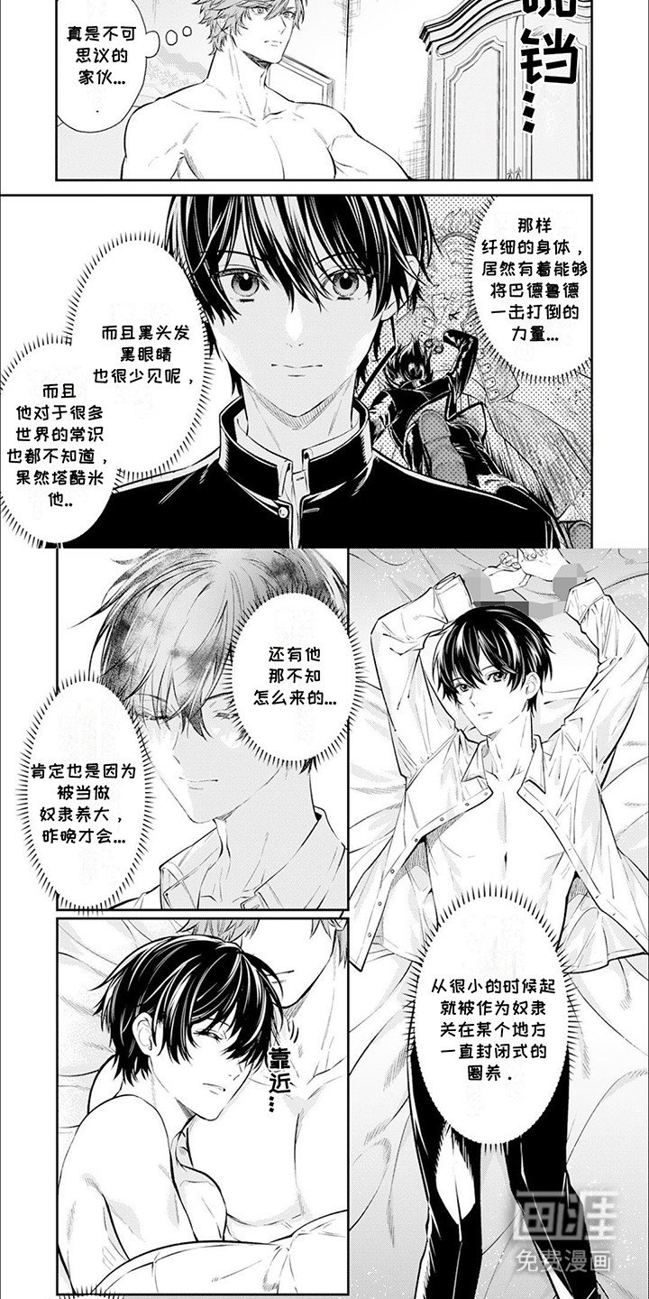 第5章：美丽的误会