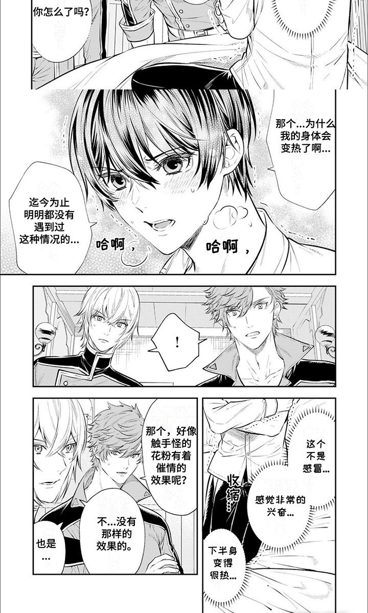 第7章：副作用