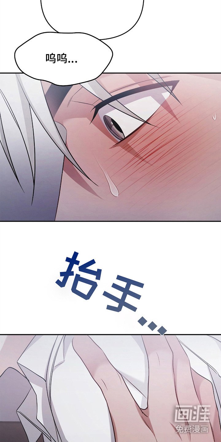 第8章：收养