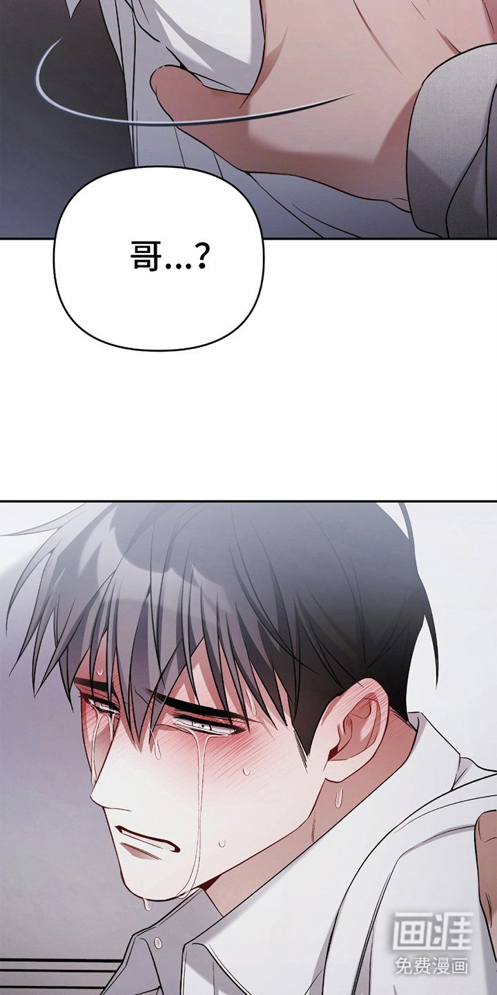 第8章：收养