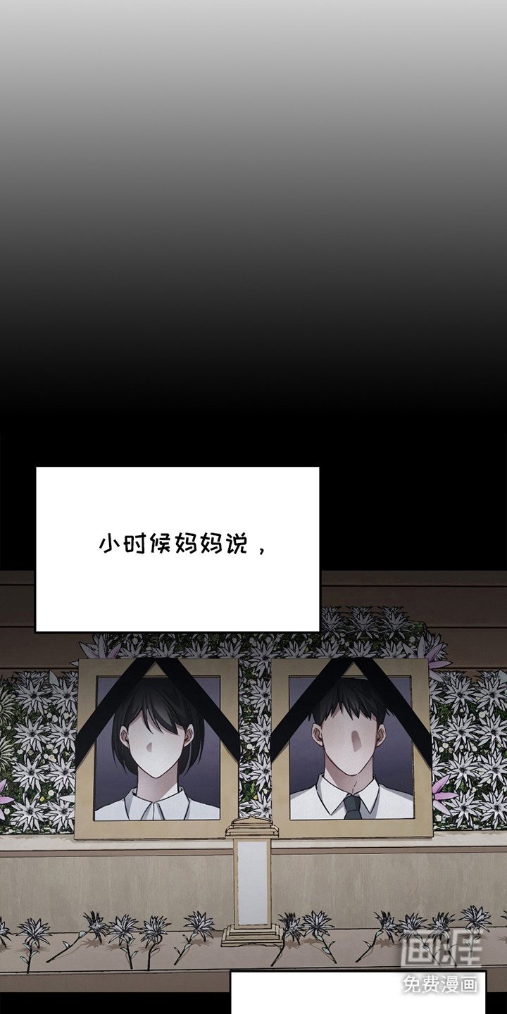 第8章：收养