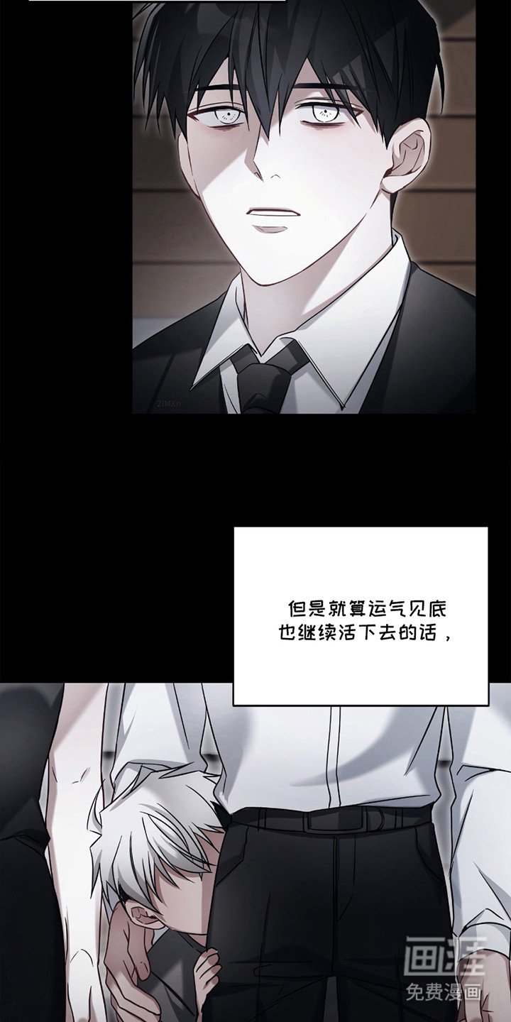 第8章：收养