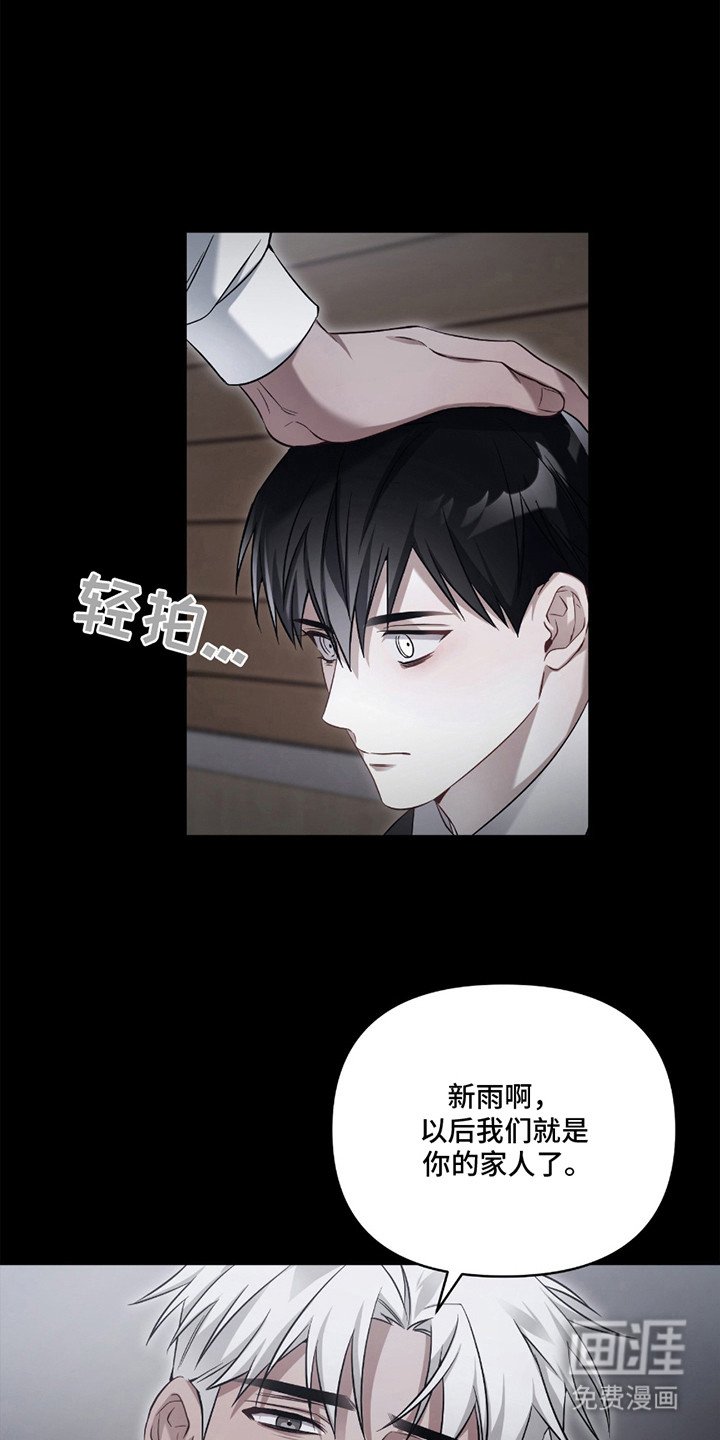 第8章：收养