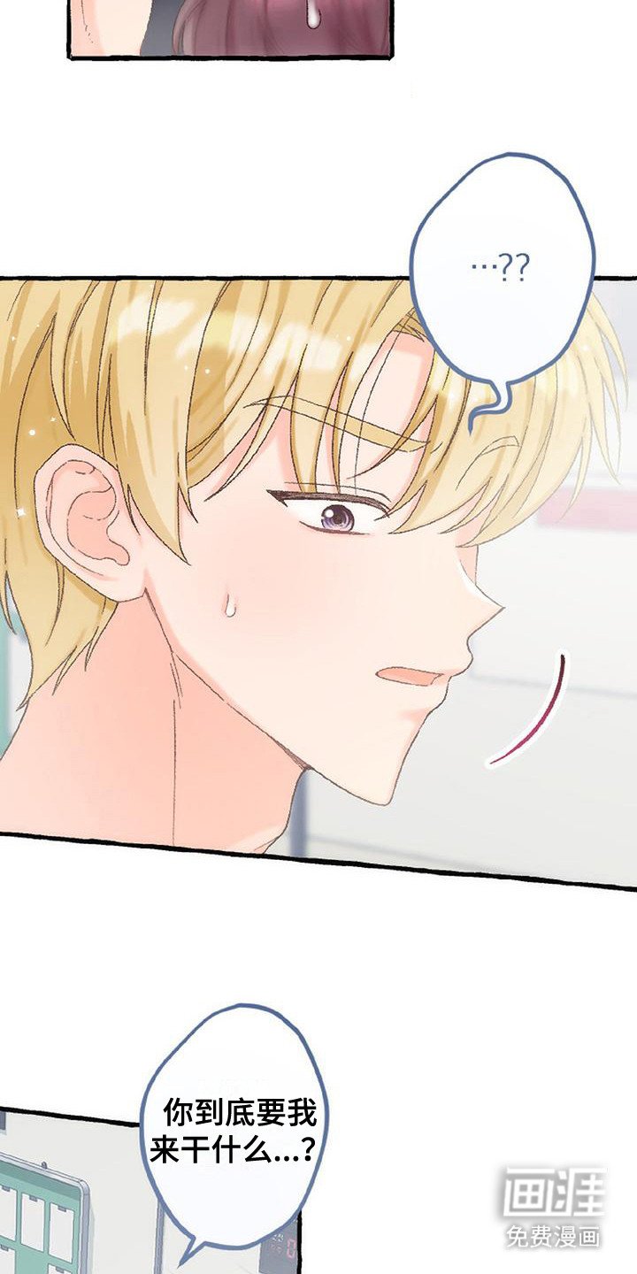 第11章：触角