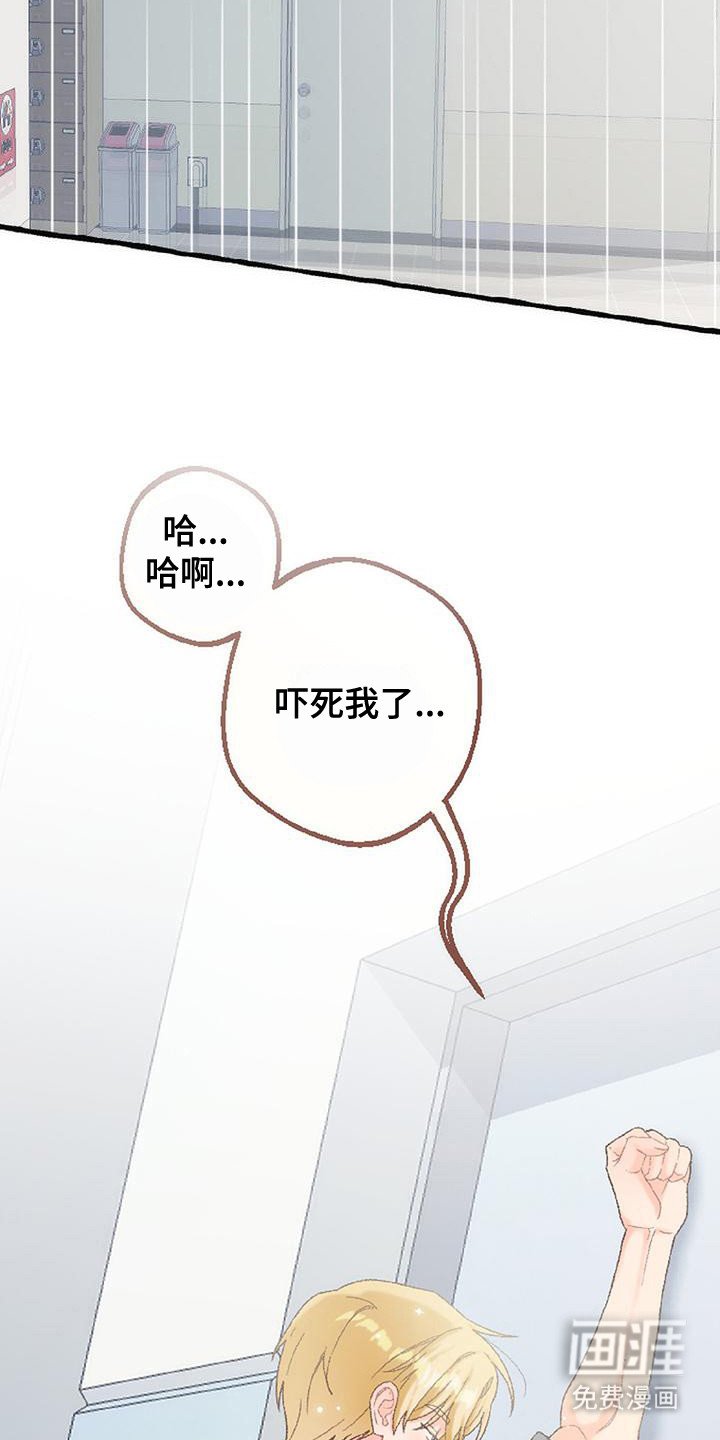 第11章：触角