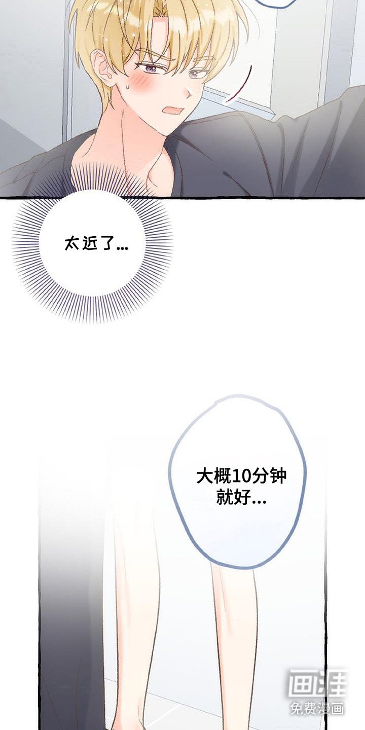 第11章：触角