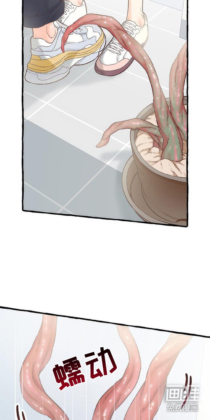第11章：触角