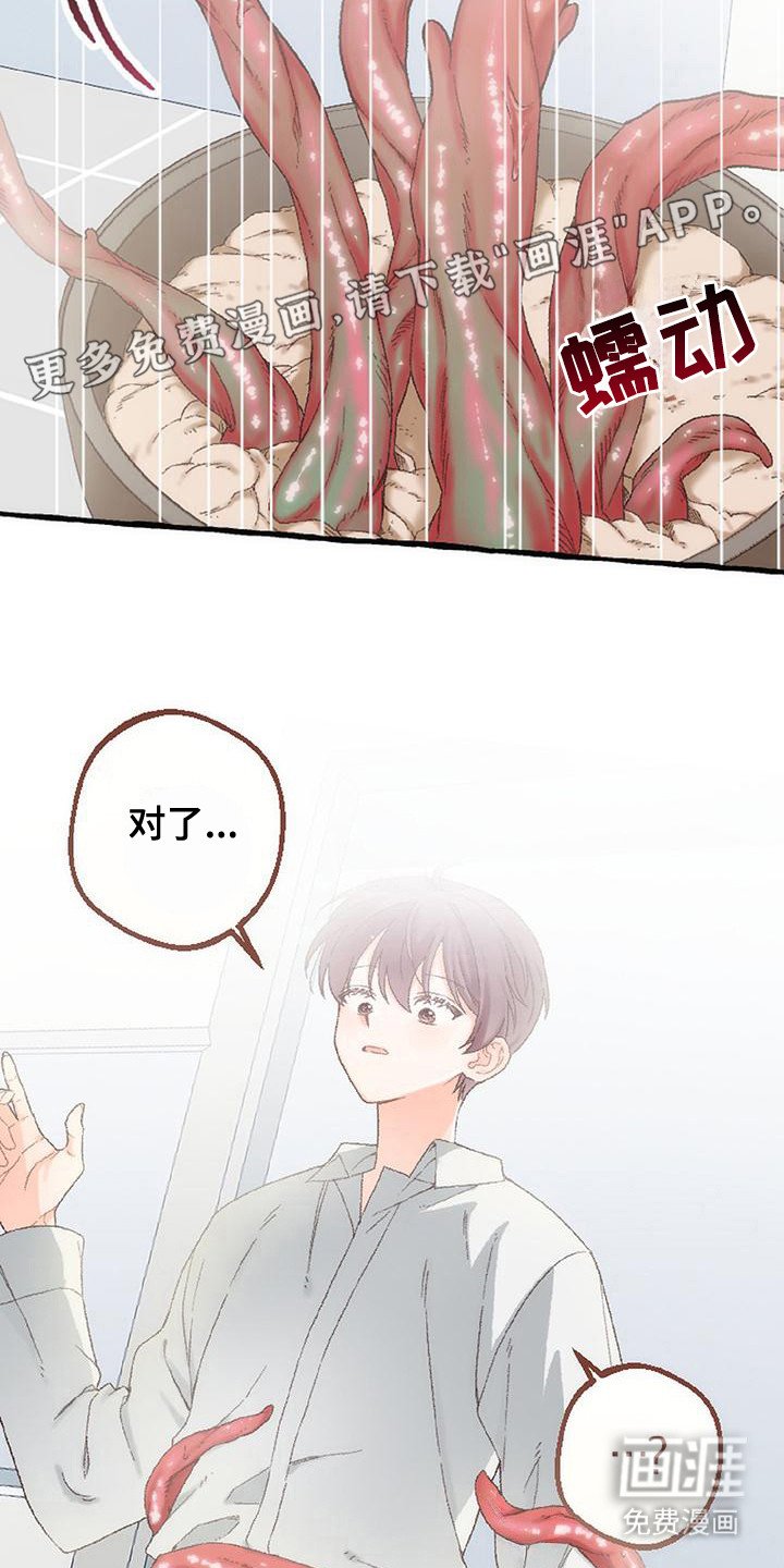 第11章：触角