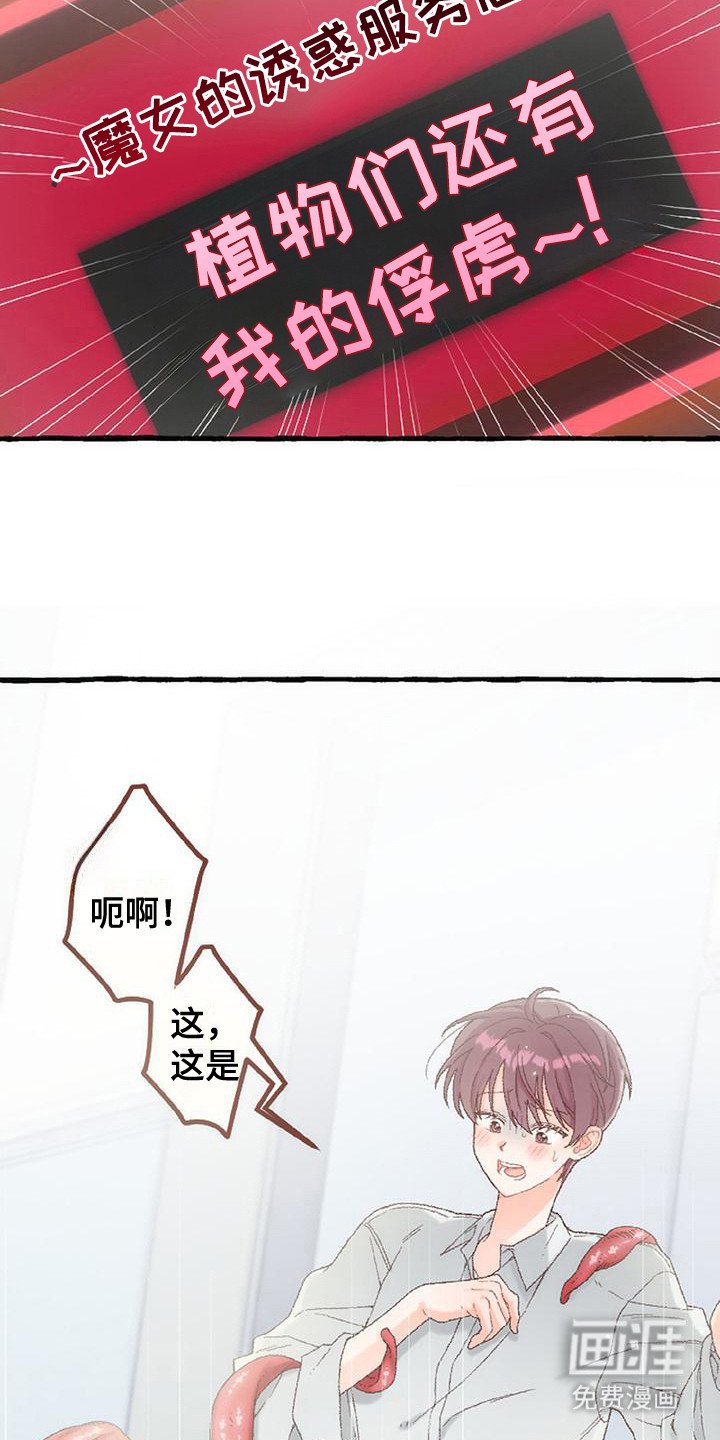 第11章：触角