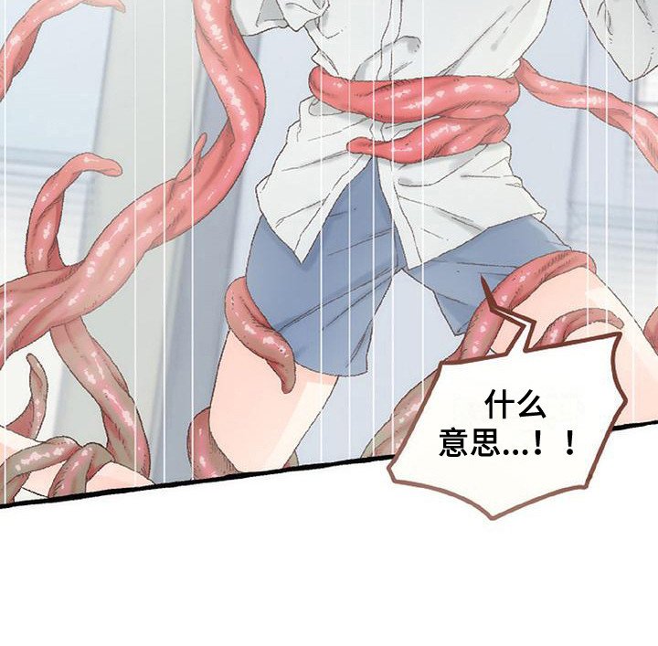 第11章：触角