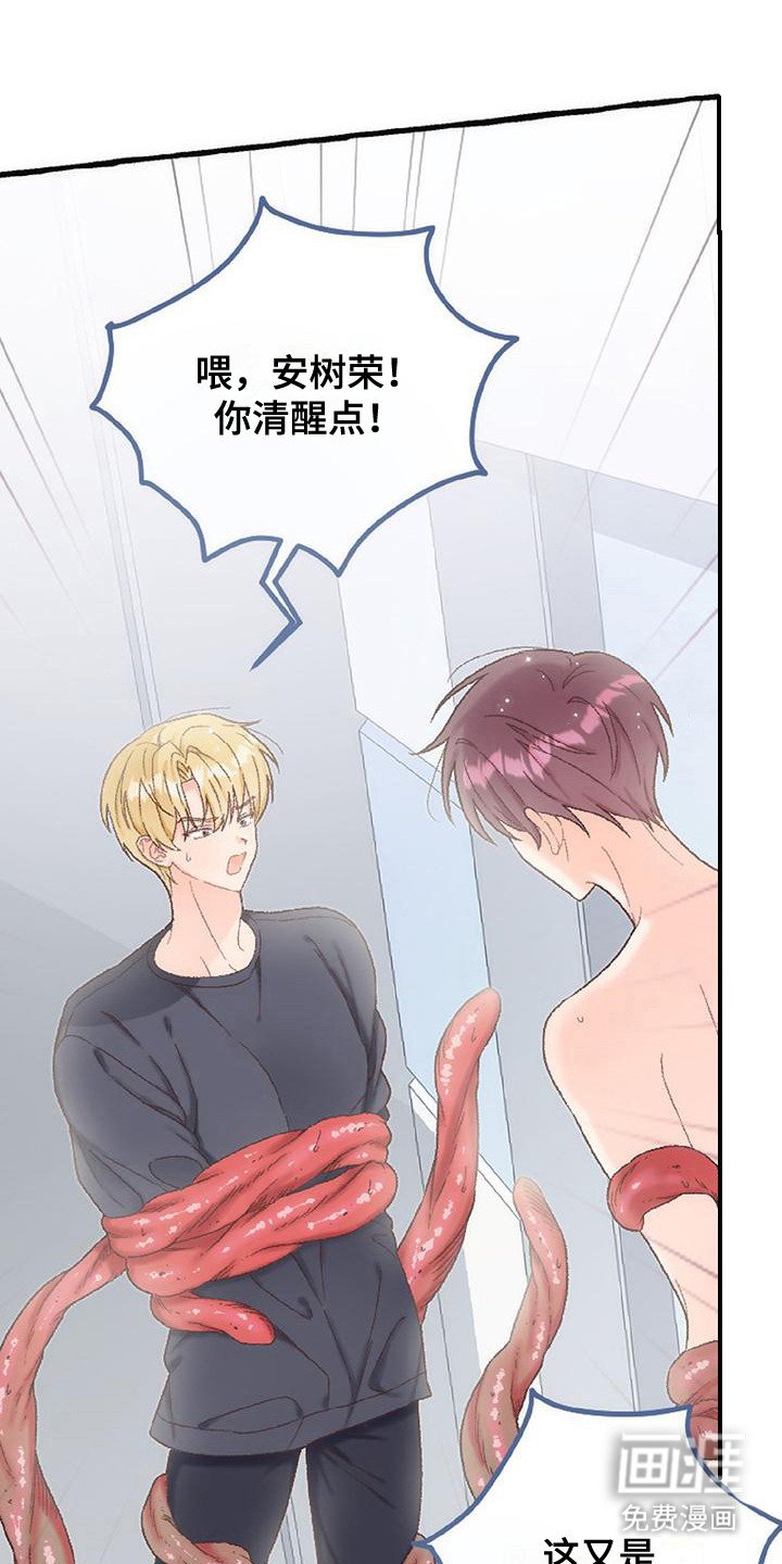 第12章： 最后一天
