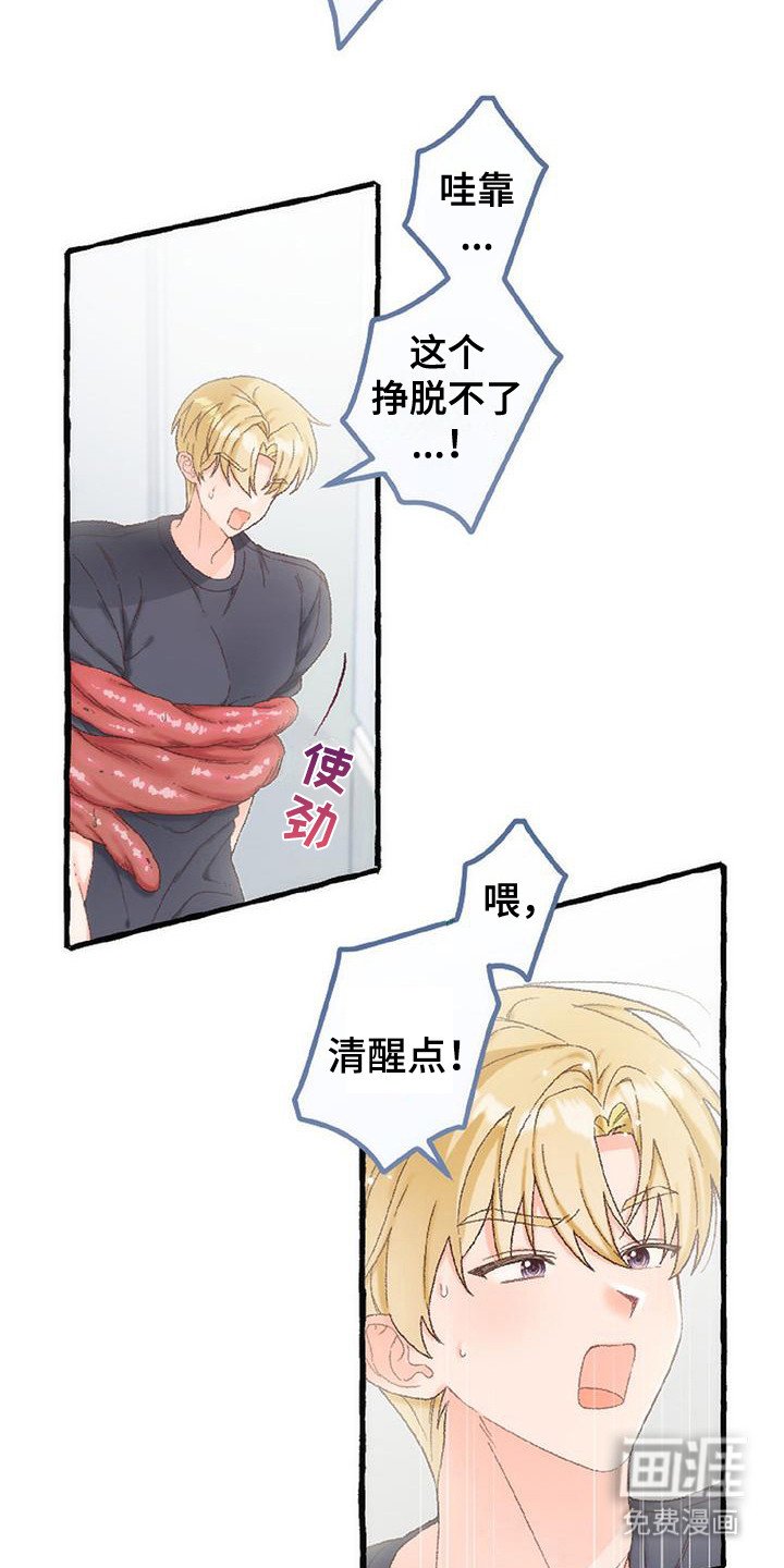 第12章： 最后一天