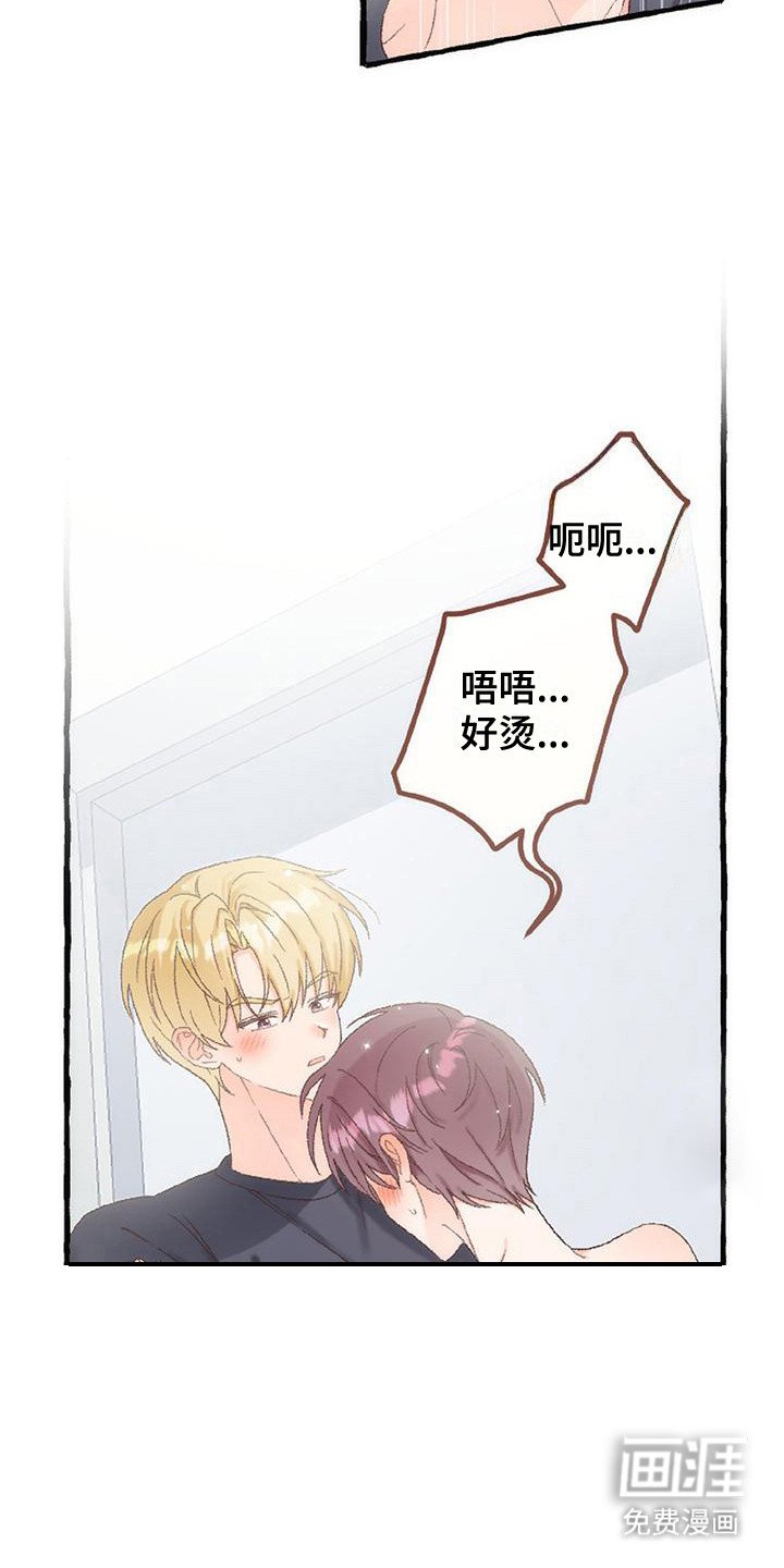 第12章： 最后一天