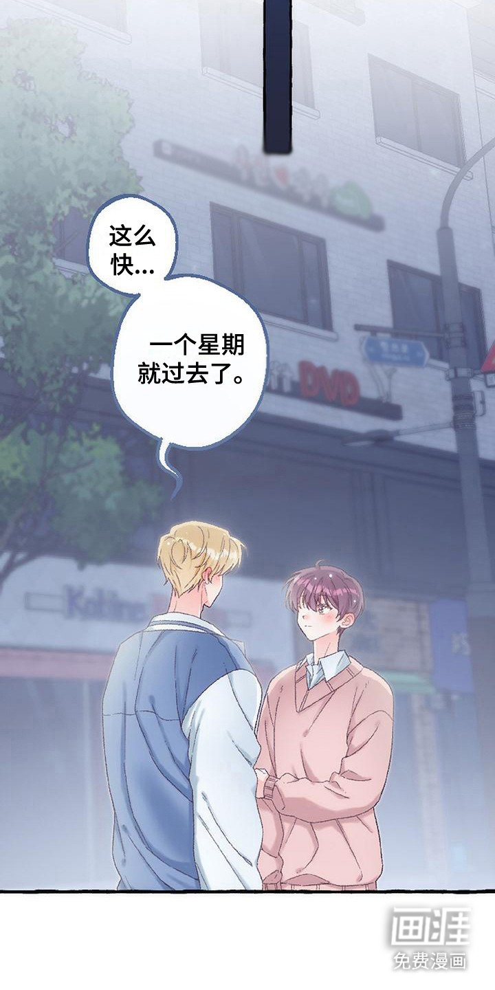 第12章： 最后一天