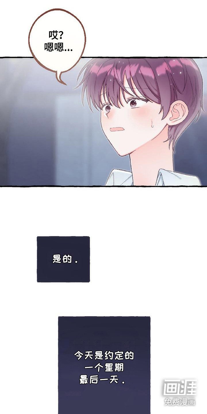 第12章： 最后一天