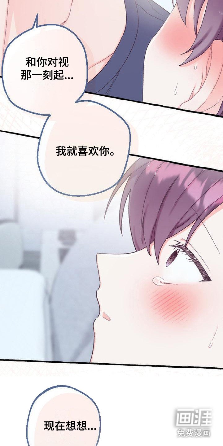第14章：表白