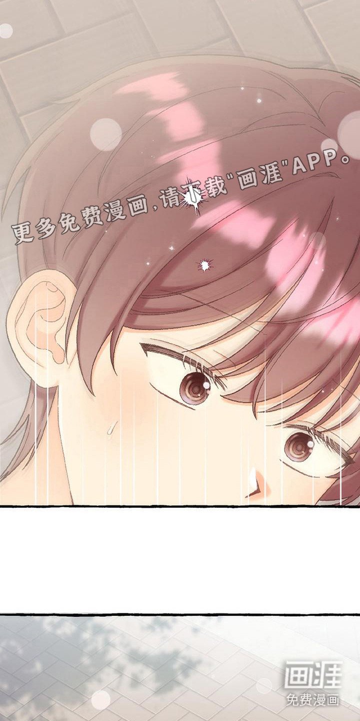 第14章：表白