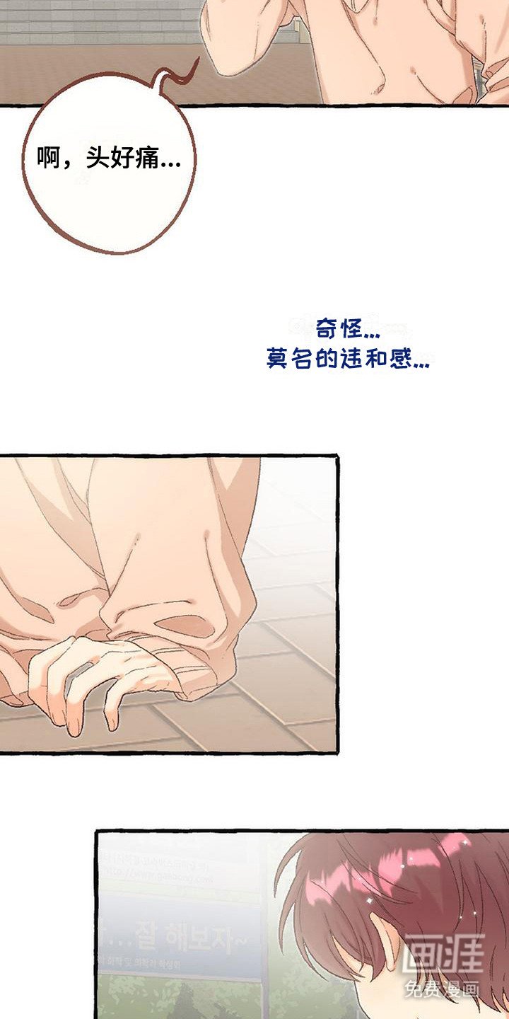第14章：表白