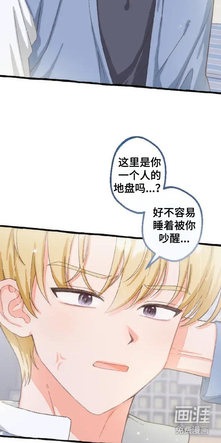 第3章：没有变化